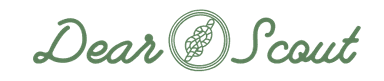 Dear Scout